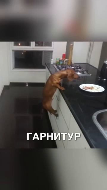 Верьте в себя и все получится! ❤️ смотреть онлайн