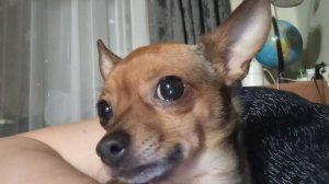 целый день в делах с Ладухой