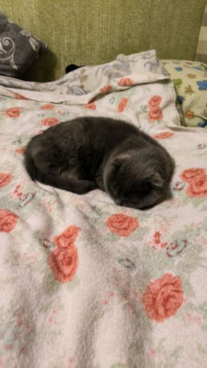 эмм а чо делать то?😅