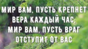 Мир вам братья, сестры - минус мой 1