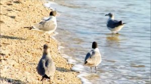 Проверить почту Лилия Кликич