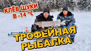 Клёв щуки в -14 °C. Трофейная рыбалка на жерлицы.