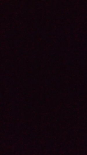 ❄️☃️Даря