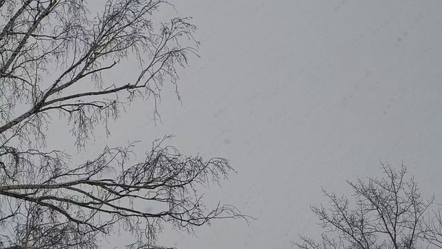 А снег все идет