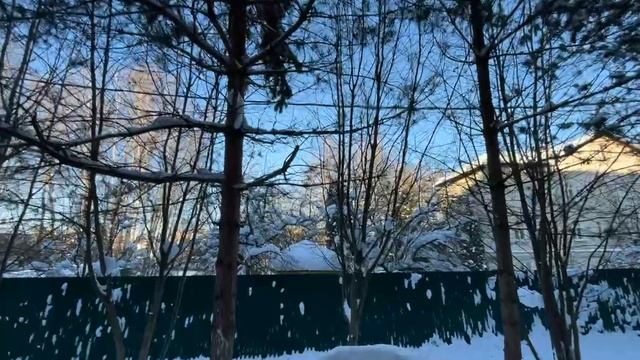 IMG_0391 (1) смотреть онлайн