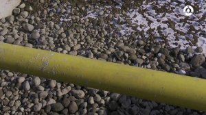 Халкъа проекташ. Машинникъ