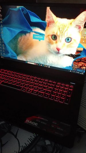 играем на фт (собираем сет