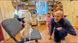 Люся решила нарисовать СВОЙ ПОРТРЕТ, а Жорику Ангелина с Владом делают МОРСКОЙ БРИЗ!