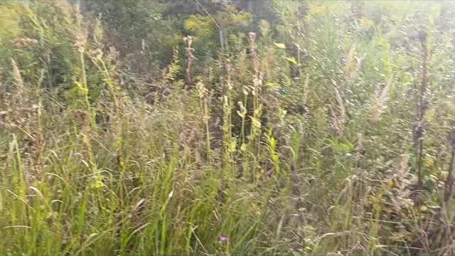 общее видео смотреть онлайн