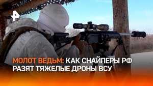 Охотники на ведьм: как снайперы уничтожают тяжелые дроны ВСУ