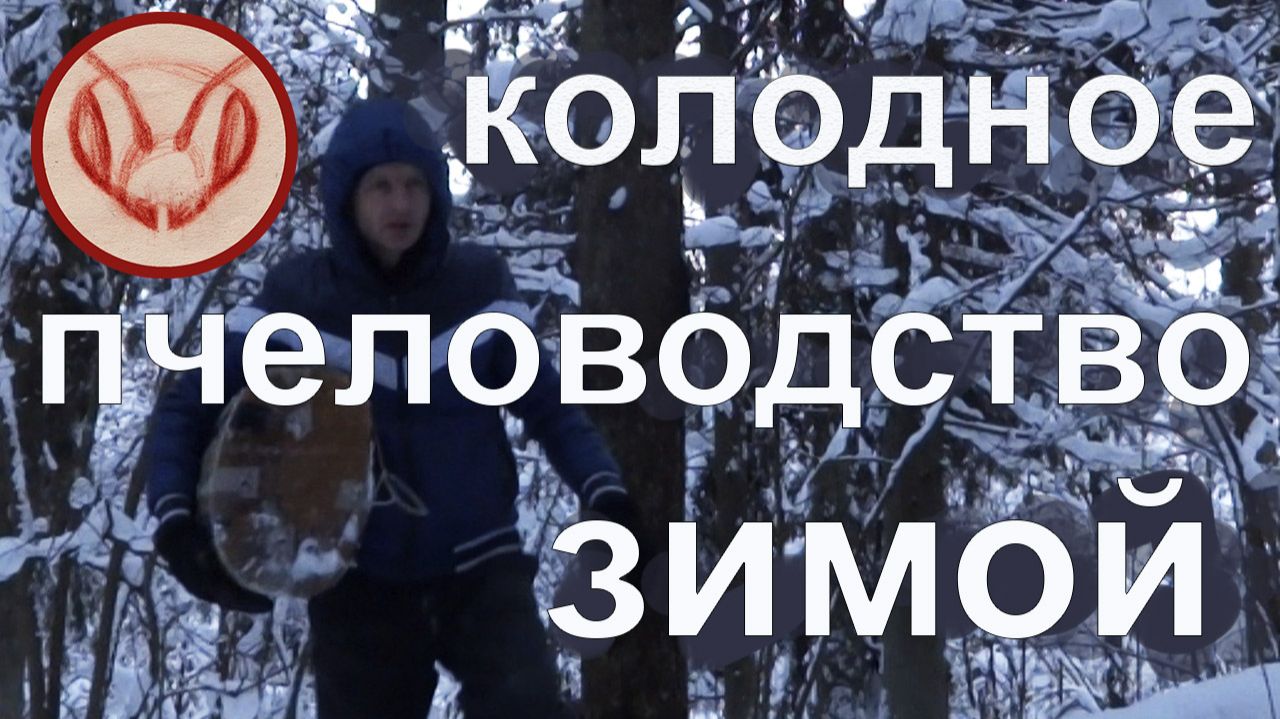 Колодное пчеловодство зимой смотреть онлайн