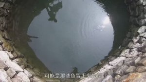 ЛОВИМ РЫБУ В КОЛОДЦЕ