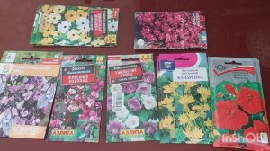 Вьющиеся растения для дачи. Лианы.