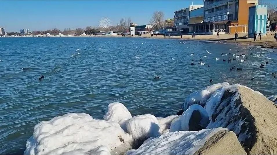 Анапа, Центральный пляж, 30 января 2026 🌊☁🦆 смотреть онлайн