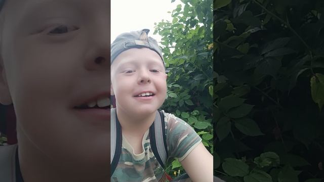 домик на дереве– приключение с друзьями смотреть онлайн