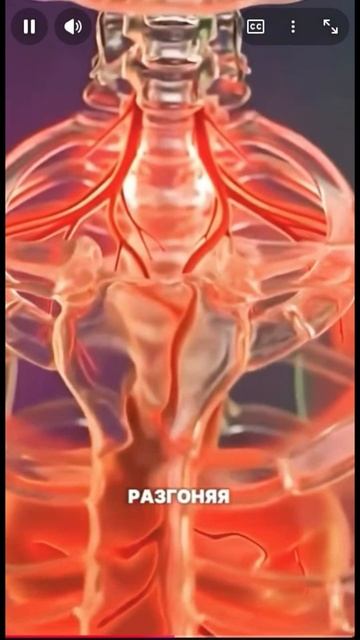 Все идем в баню смотреть онлайн