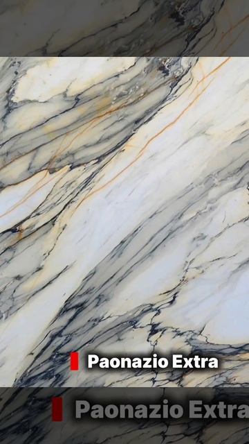 document_5467558513871980187