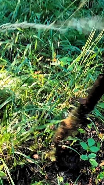 На пути к успеху! смотреть онлайн