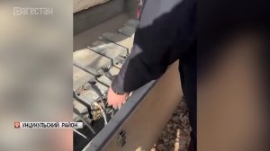 В Унцукульском районе пресечена работа незаконной майнинг-фермы