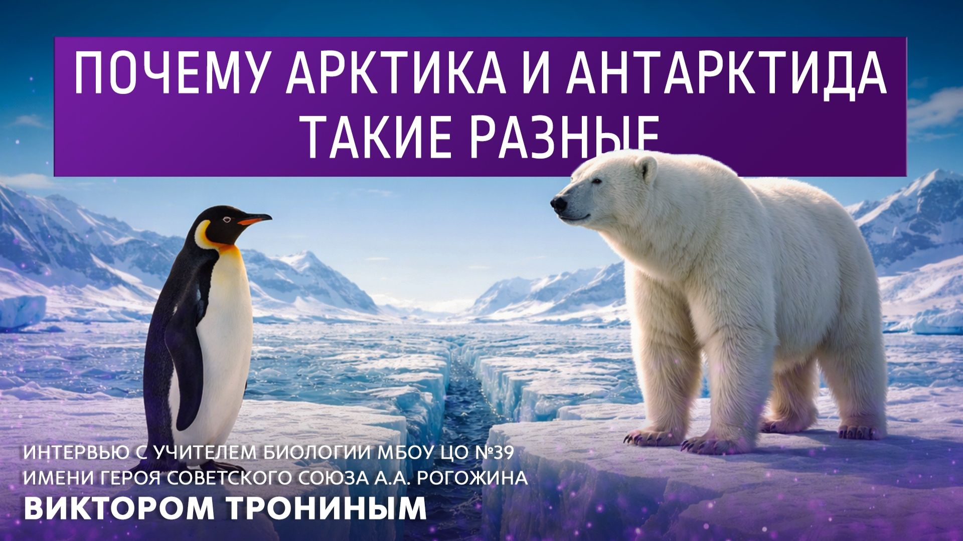 Почему Арктика и Антарктида такие разные. Интервью с учителем биологии МБОУ ЦО N39 Виктором Трониным смотреть онлайн
