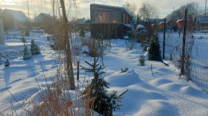 Зима лютует.Мороз крепчает. Надоело🥶