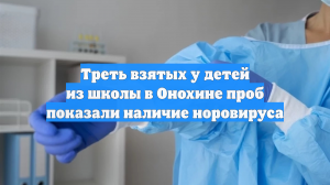 Норовирус выявили у трети школьников в селе Онохино