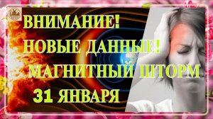 ВНИМАНИЕ! НОВЫЕ ДАННЫЕ! МАГНИТНЫЙ ШТОРМ 31 ЯНВАРЯ 2026!
