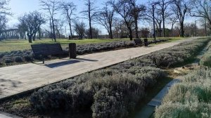 ПРОГУЛЯЛИСЬ ПО ПОГОДКЕ