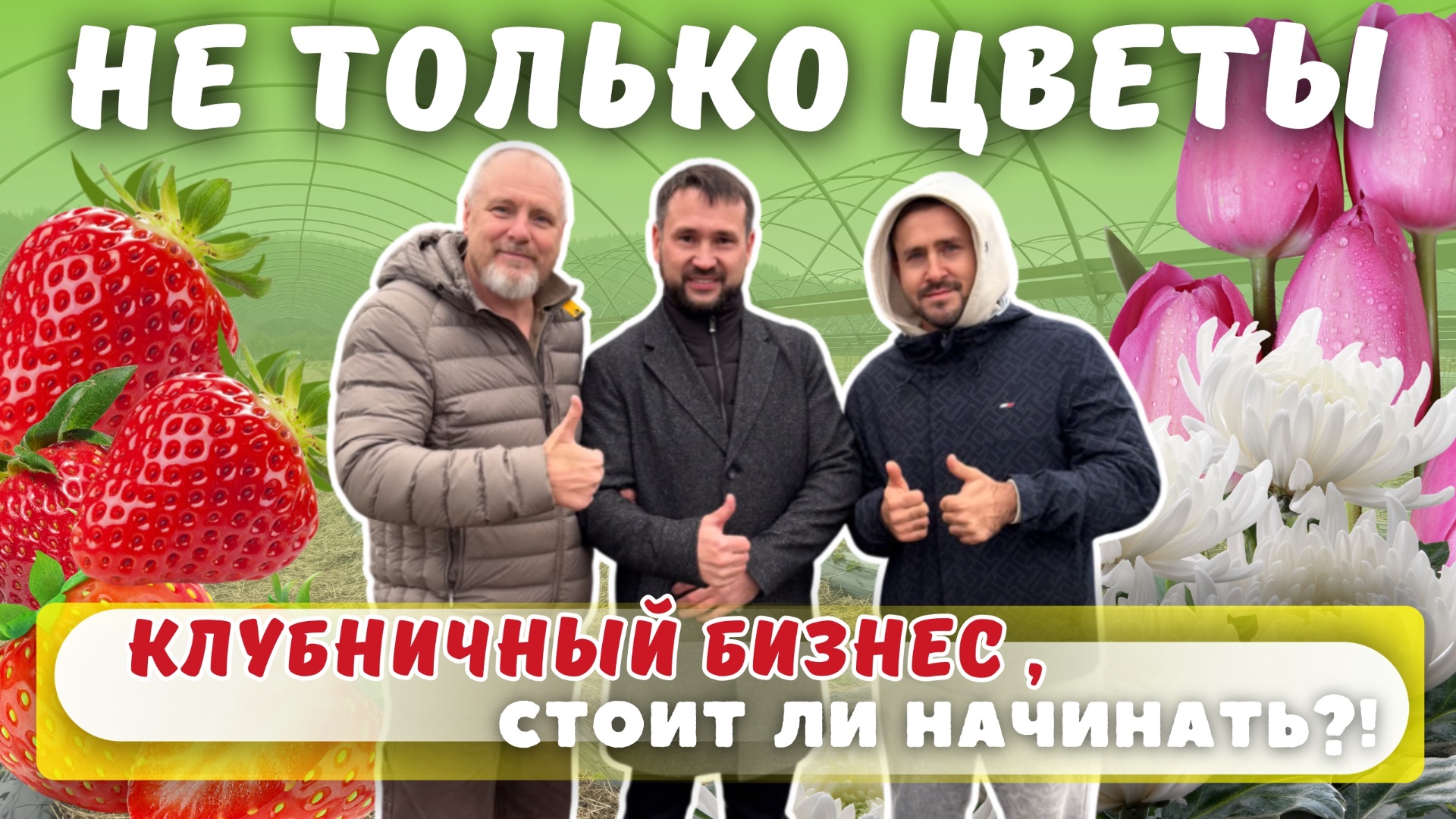 Клубника, тюльпаны, хризантема. Как теплицы приносят доход круглый год. Реальный опыт. смотреть онлайн