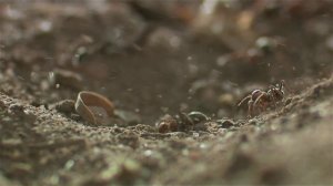 Свирепые королевы 3 серия (документальный сериал, 2020)