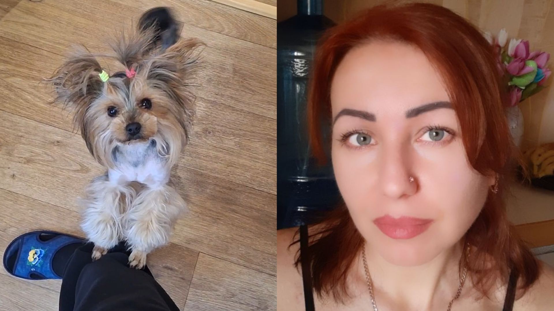 Еле подстригла собаку. Помогите советом😊#семьяизмариуполя смотреть онлайн