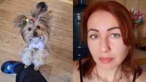 Елена подстригла собаку. Помогите советом😊#семьяизмариуполя
