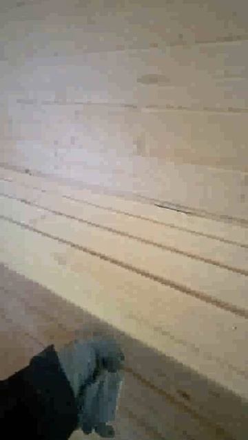 Баня Квадро 62 в комплектации премиум на 2 отделения с верандой