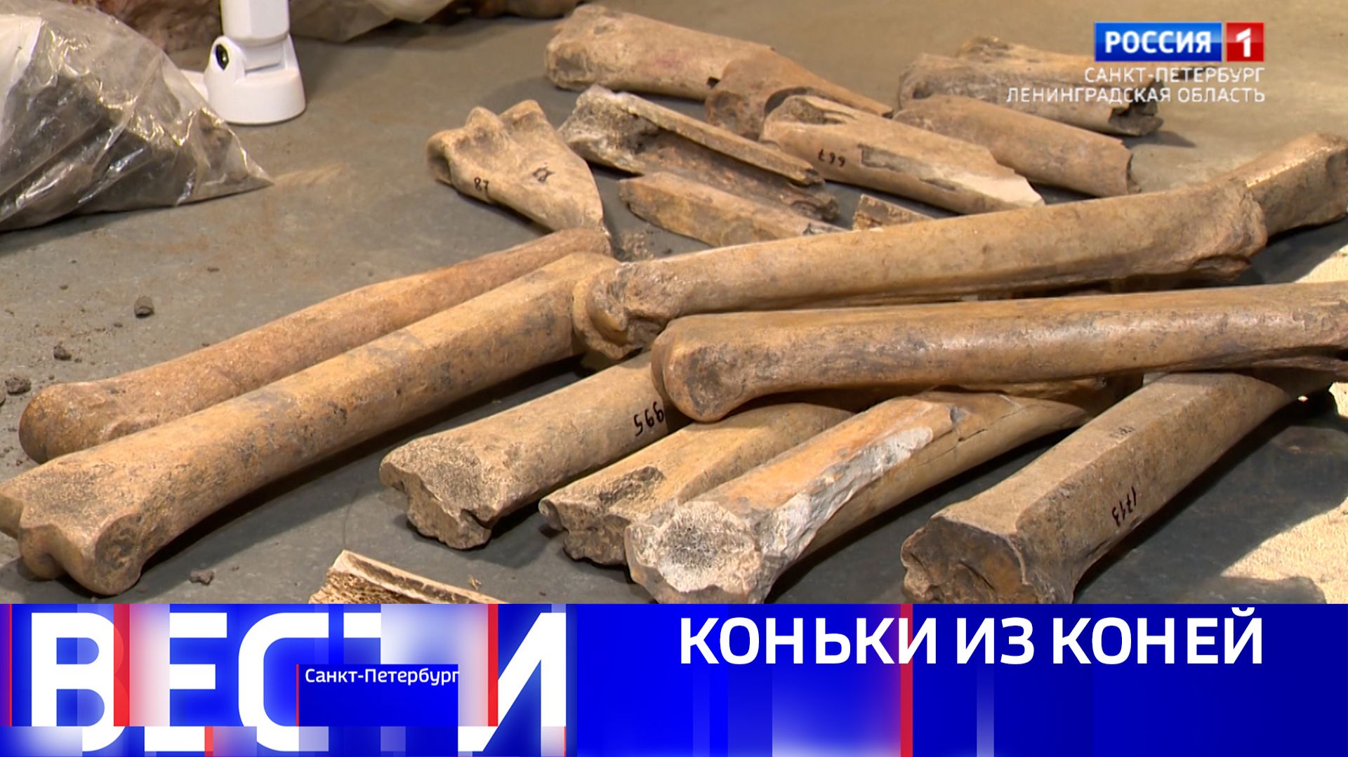 Вести Санкт-Петербург. Выпуск 11.30 от 30.01.2026 смотреть онлайн