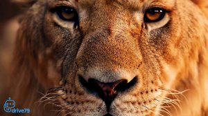 Дикое сердце [ai клип]