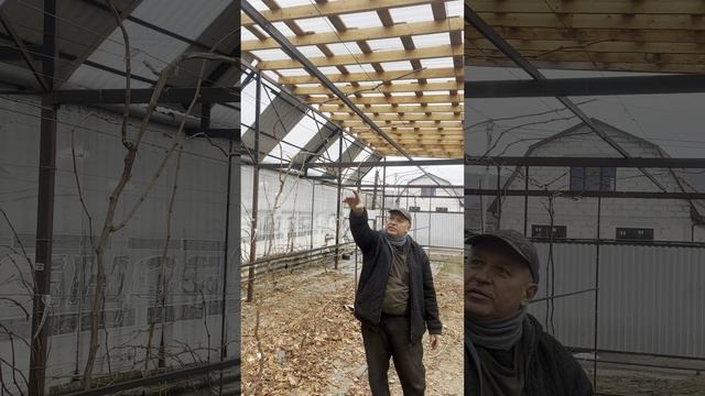 30-01-2026 подготовка лозы к сезону, заготовка черенков, планы на следующий сезон. Один из наших смотреть онлайн