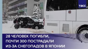 28 человек погибли, почти 300 пострадали из-за снегопадов в Японии