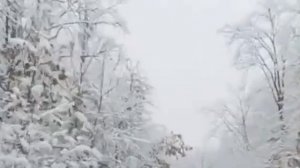 Такого снегопада давно не знали здешние места... ❄️❄️❄️