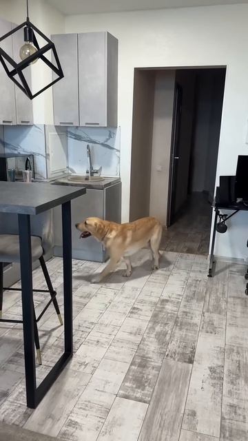 Решил вопрос😁 смотреть онлайн