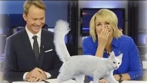 Они думали, что эфир выключен. Ошиблись. Видео набрало 10 млн просмотров за ночь 🦊