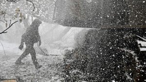 В Госдуме призвали к достижению целей специальной военной операции