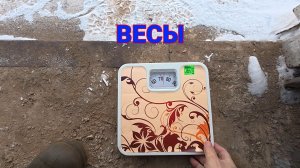 Весы
