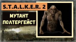S.T.A.L.K.E.R.2:Heart of Chornobyl Забрать инструмент Банзая и мутант полтергейст