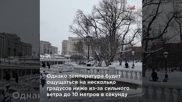 Ледяной циклон. Москвичам пообещали трескучие морозы на выходных смотреть онлайн