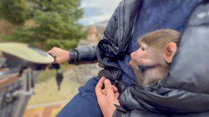 Мы с Ангелиной и Люсей отправились проведать енотов Шарика и Шурика, а также Дану-ЗВЕЗДУ ТАЙГАНА!