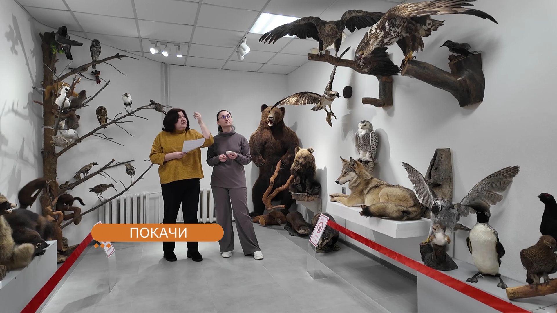 Краеведческий музей Покачей вновь откроет свои двери смотреть онлайн