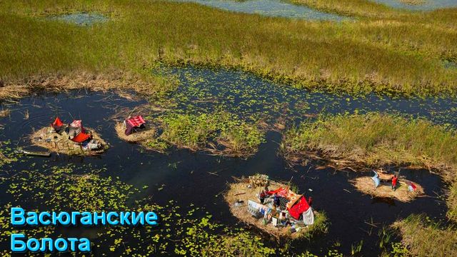 Ответы на Вопросы и Комментарии от 30.01.26 смотреть онлайн