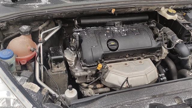 VID_20260129_123158 смотреть онлайн