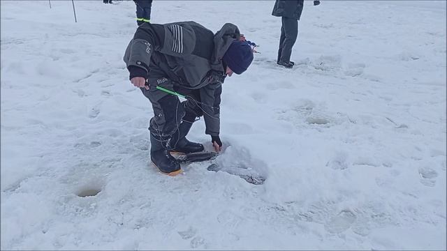 Хороший результат по форели для приманки в бюджетную стоимость. Рыбалка на спорт зоне. Клёвое место смотреть онлайн