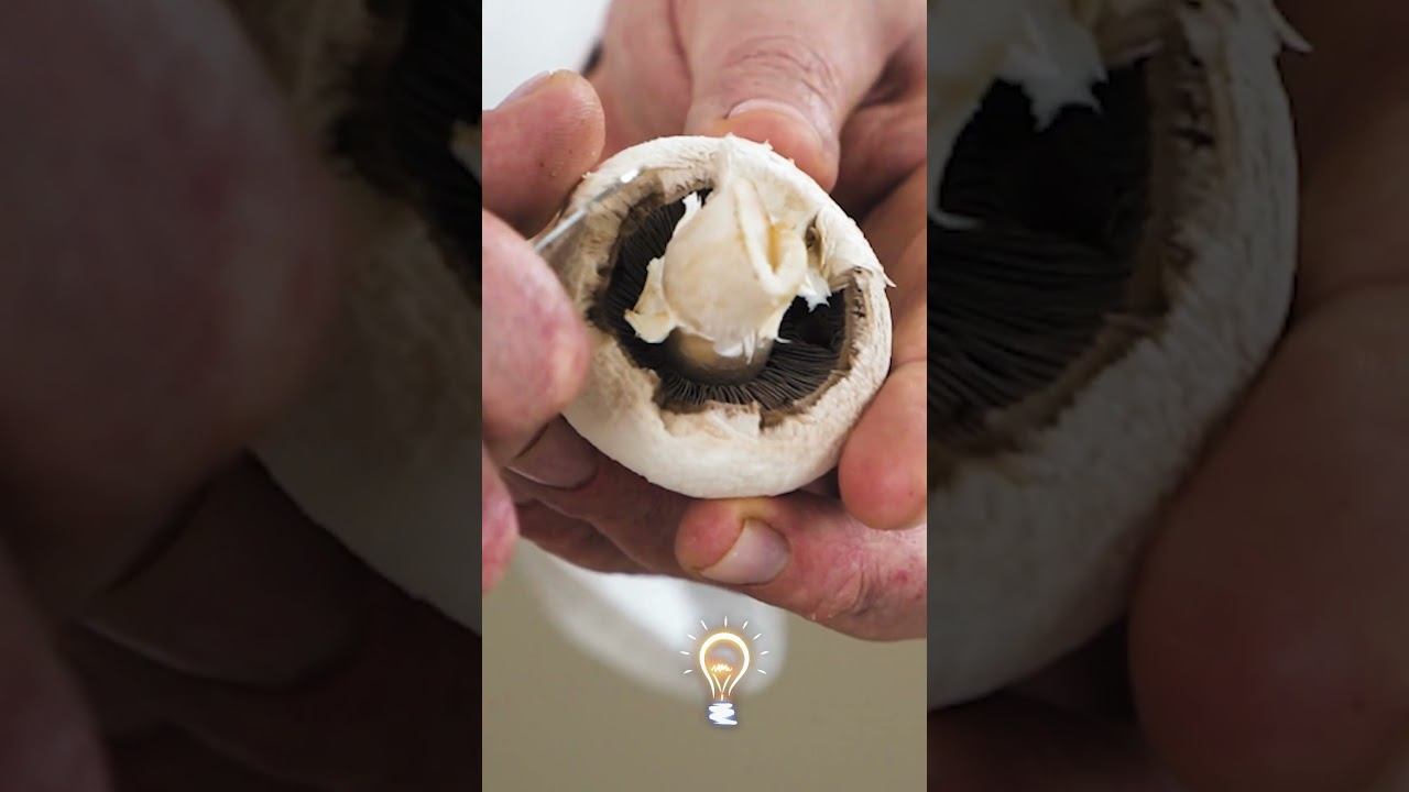 Мыть шампиньоны или не мыть? смотреть онлайн